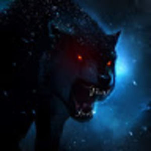 Meet your Posher, Antonio